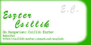 eszter csillik business card